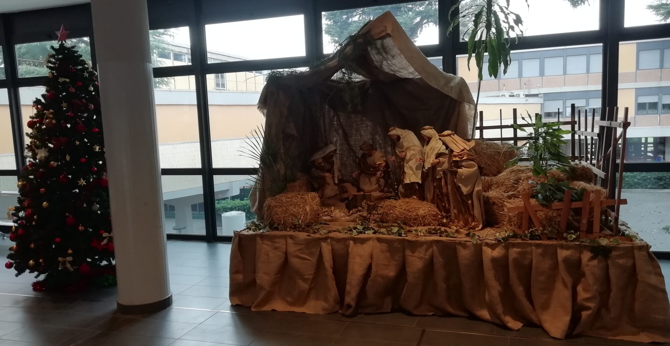 natale scaled 1