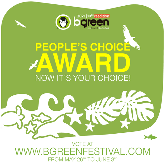 bgreen Award