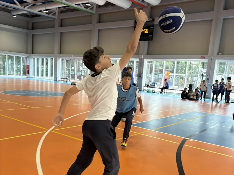 basket ISTITUTO MASSIMO